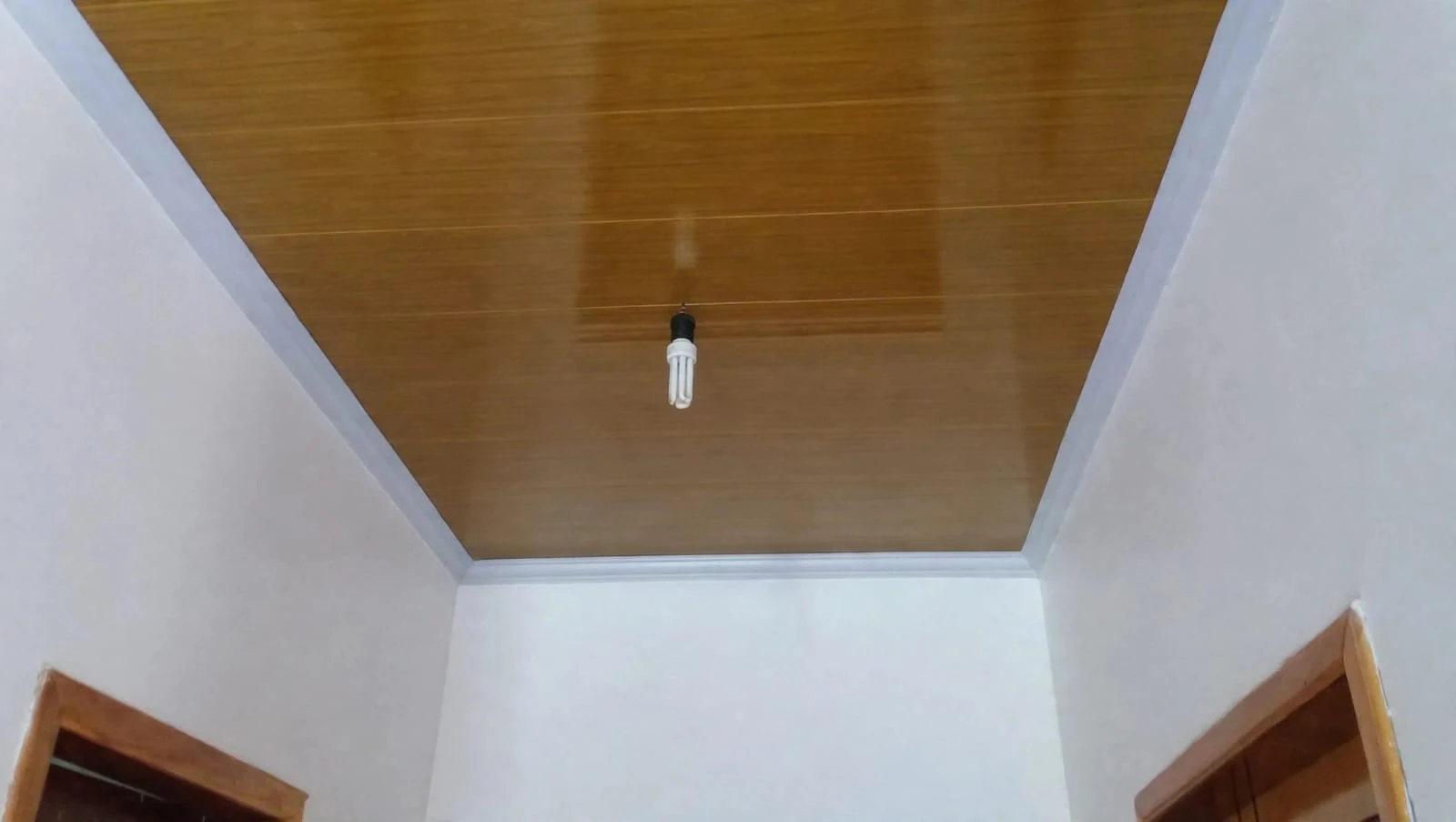 Um olhar para o alto — fotografia original do trabalho VM